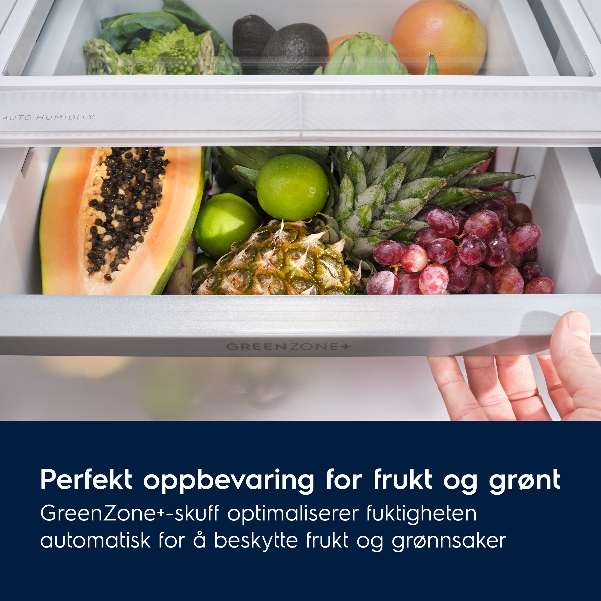 Electrolux - Frittstående kombiskap - LNT7MC36W