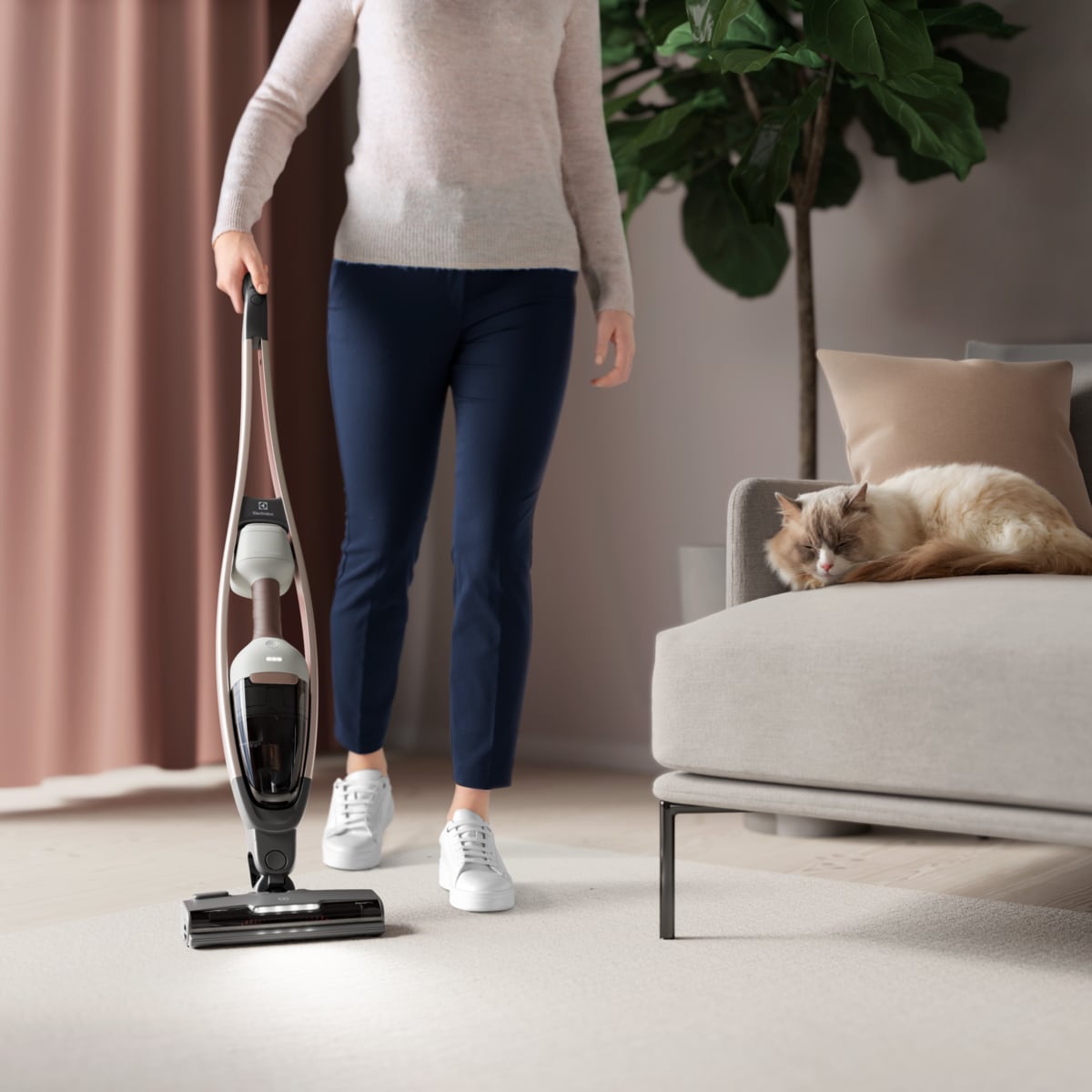 Electrolux - Oppladbar støvsuger - ES62P25WET