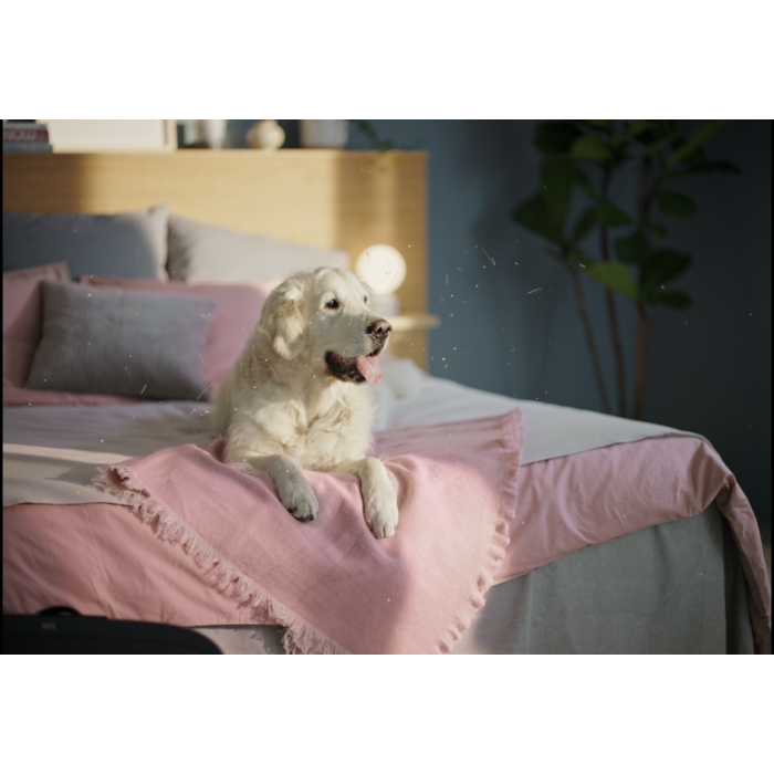 Electrolux - Air Purifier - EFWCLN3
