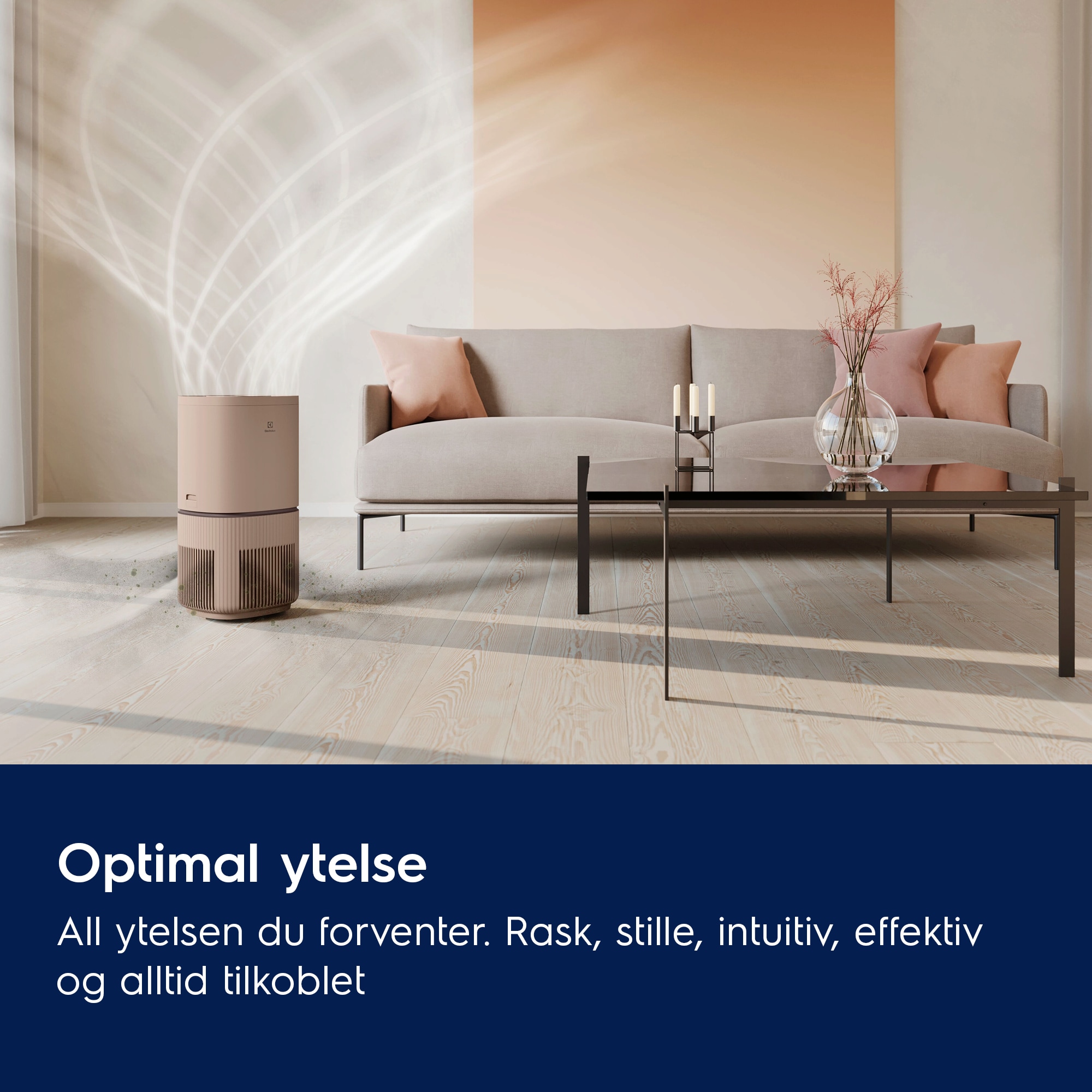 Electrolux - Luftrenser - EPO50571BG