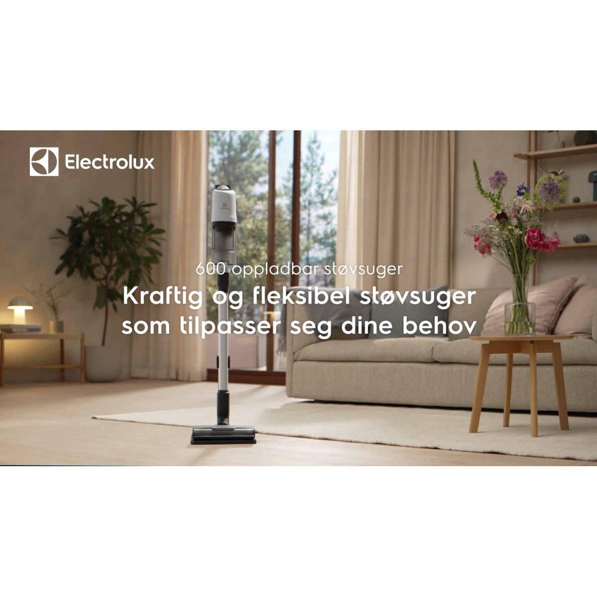 Electrolux - Oppladbar støvsuger - EP61C21SN1