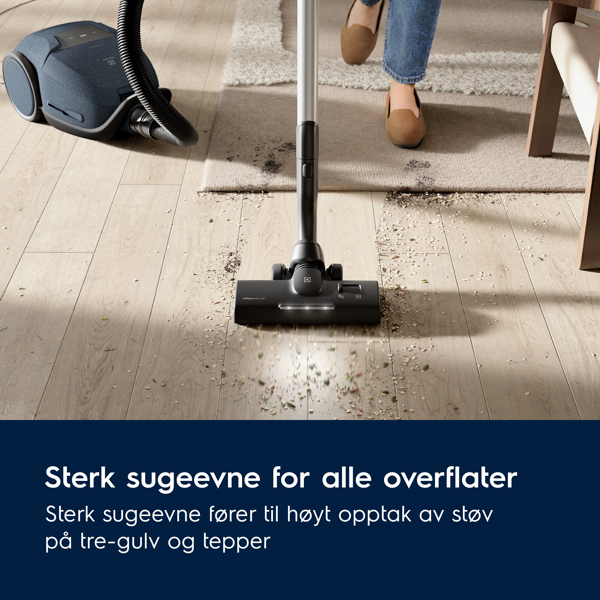 Electrolux - Støvsugere med pose - EB81U1DB