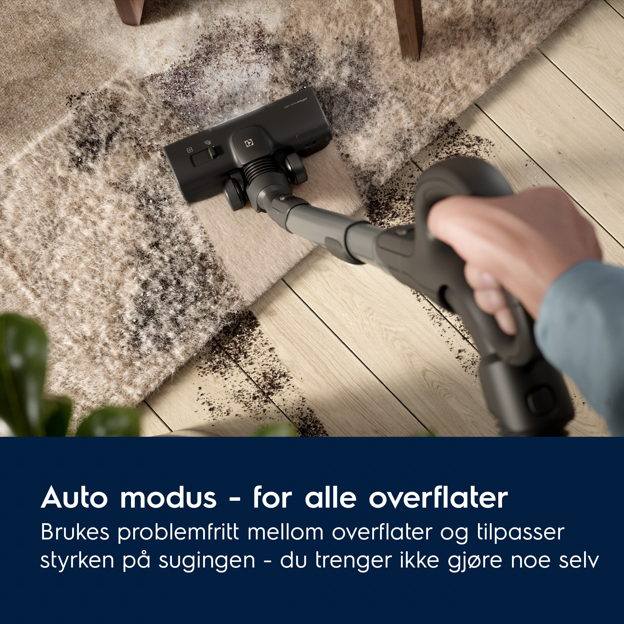 Electrolux - Støvsugere med pose - EB81U1WB