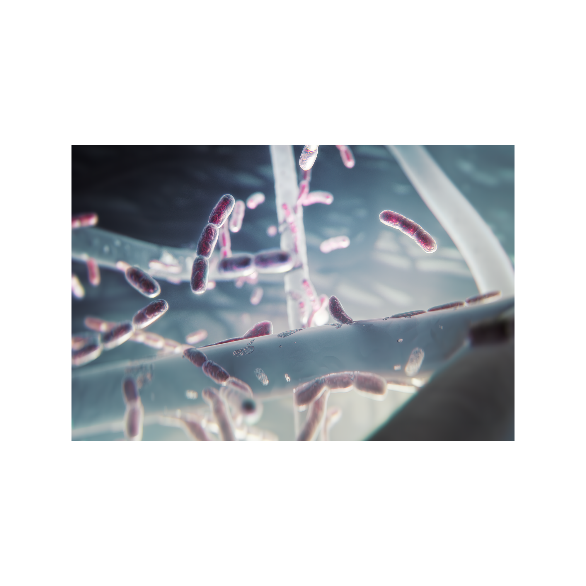 Electrolux - Air Purifier - EFFCLN2EU