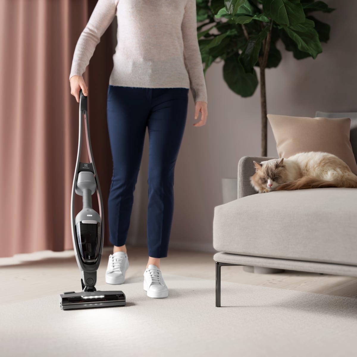 Electrolux - Oppladbar støvsuger - ES62CB25UG