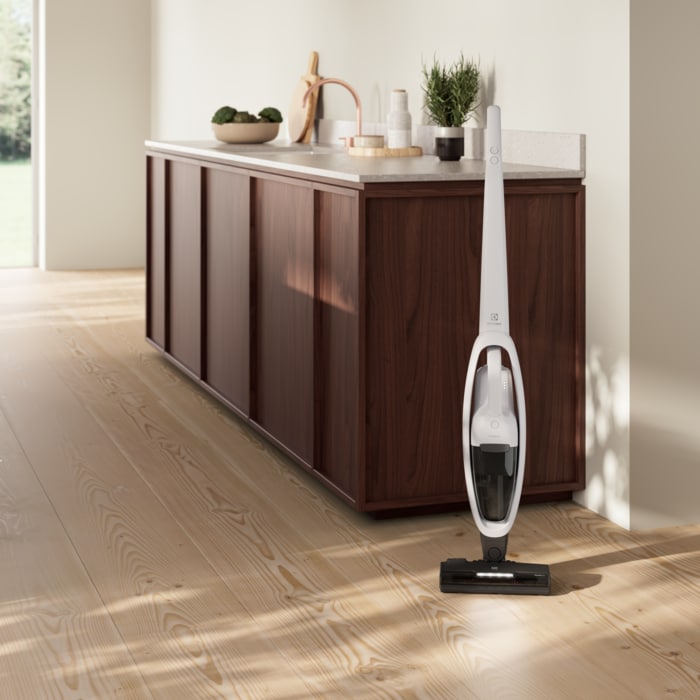 Electrolux - Oppladbar støvsuger - ES52CB21SH