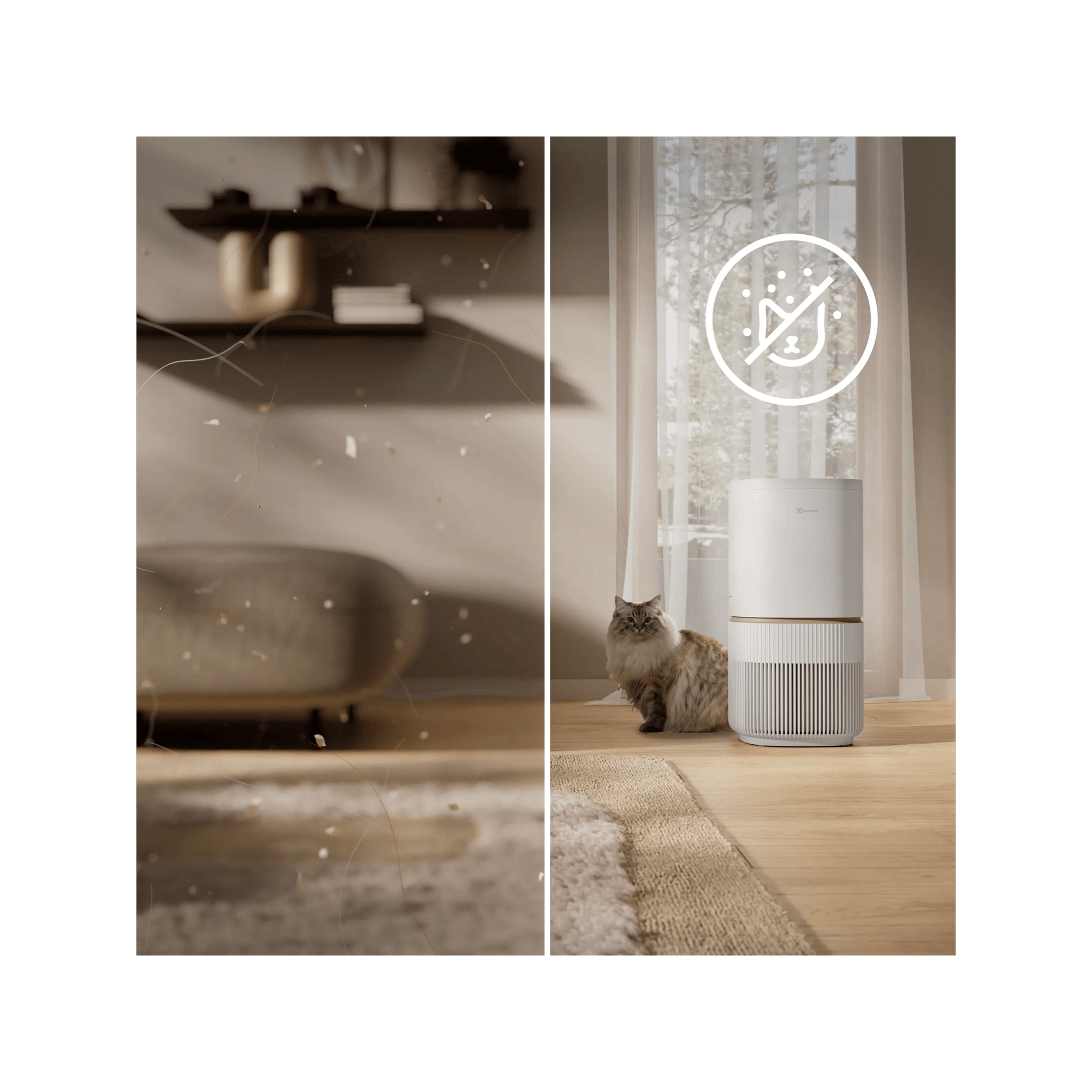 Captures and removes up to 99%¹ of pet dander and allergens.