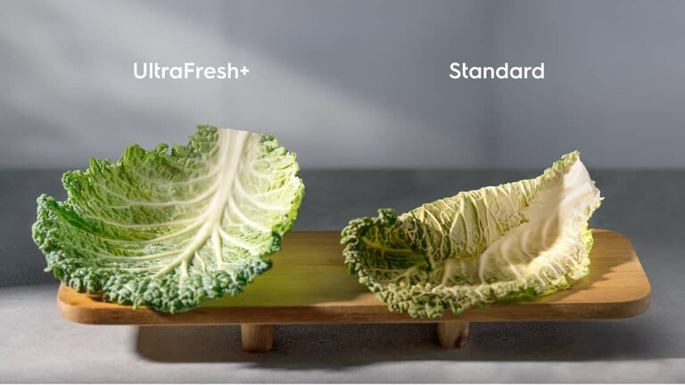 salat på en benk