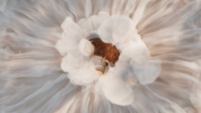 tilbereder champinjon