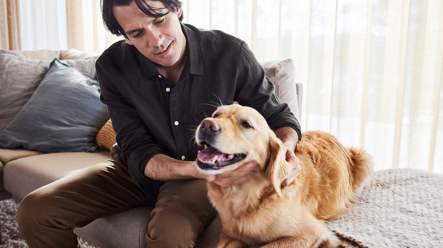 En mann klapper en Golden Retriever